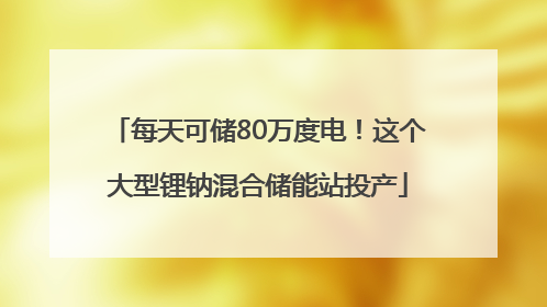 每天可储80万度电！这个大型锂钠混合储能站投产
