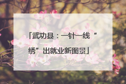 武功县：一针一线“绣”出就业新图景