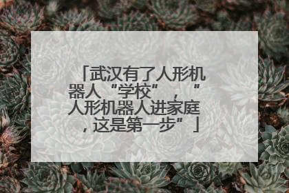 武汉有了人形机器人“学校”，“人形机器人进家庭，这是第一步”