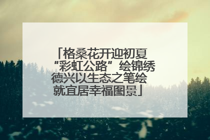 格桑花开迎初夏 “彩虹公路”绘锦绣 德兴以生态之笔绘就宜居幸福图景