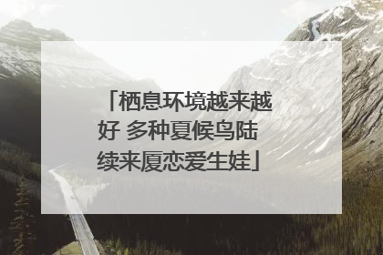 栖息环境越来越好 多种夏候鸟陆续来厦恋爱生娃