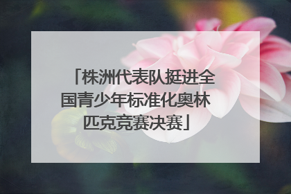 株洲代表队挺进全国青少年标准化奥林匹克竞赛决赛
