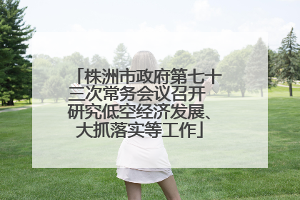 株洲市政府第七十三次常务会议召开 研究低空经济发展、大抓落实等工作