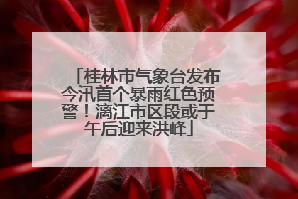 桂林市气象台发布今汛首个暴雨红色预警！漓江市区段或于午后迎来洪峰