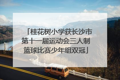 桂花树小学获长沙市第十一届运动会三人制篮球比赛少年组双冠