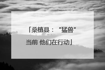 桑植县：“猛兽”当前 他们在行动