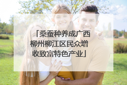 桑蚕种养成广西柳州柳江区民众增收致富特色产业