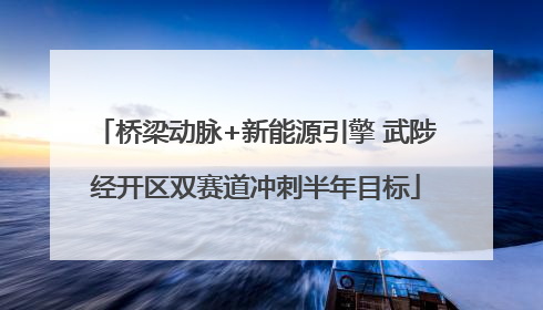 桥梁动脉+新能源引擎 武陟经开区双赛道冲刺半年目标