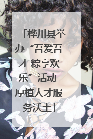 桦川县举办“吾爱吾才 粽享欢乐”活动 厚植人才服务沃土