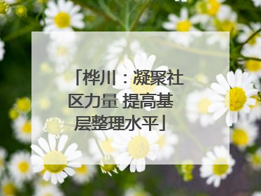 桦川：凝聚社区力量 提高基层整理水平