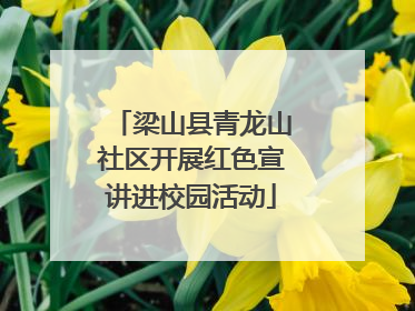 梁山县青龙山社区开展红色宣讲进校园活动