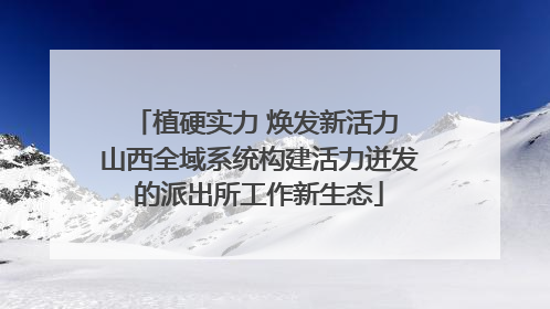 植硬实力 焕发新活力 山西全域系统构建活力迸发的派出所工作新生态