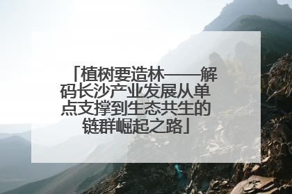 植树要造林——解码长沙产业发展从单点支撑到生态共生的链群崛起之路