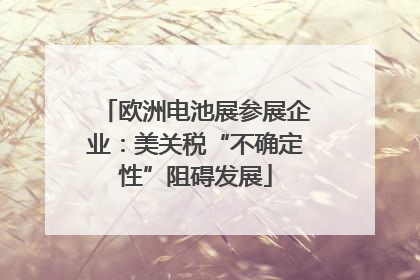 欧洲电池展参展企业：美关税“不确定性”阻碍发展