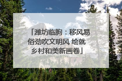潍坊临朐：移风易俗劲吹文明风 绘就乡村和美新画卷