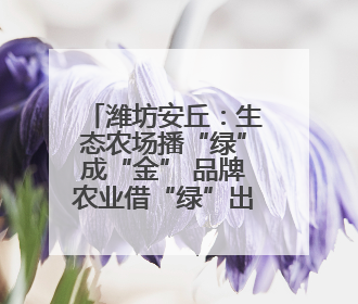 潍坊安丘：生态农场播“绿”成“金” 品牌农业借“绿”出“圈”