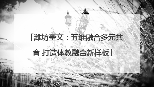 潍坊奎文：五维融合多元共育 打造体教融合新样板