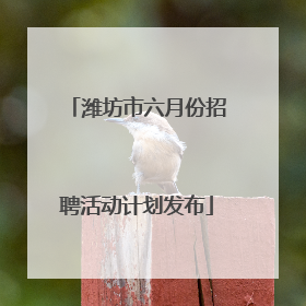 潍坊市六月份招聘活动计划发布