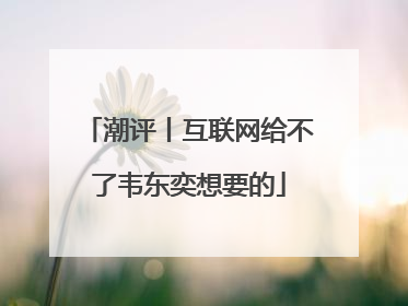 潮评丨互联网给不了韦东奕想要的