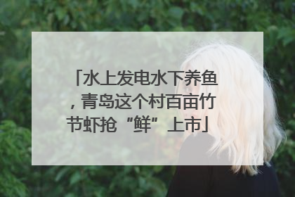 水上发电水下养鱼，青岛这个村百亩竹节虾抢“鲜”上市