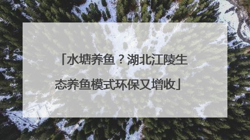 水塘养鱼？湖北江陵生态养鱼模式环保又增收