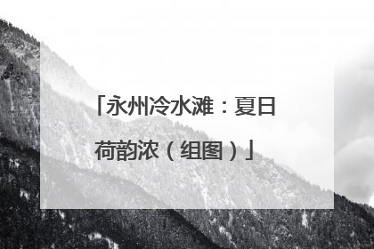 永州冷水滩：夏日荷韵浓（组图）