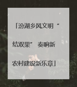 汾湖乡风文明“结双果” 奏响新农村建设新乐章