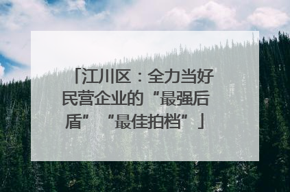 江川区：全力当好民营企业的“最强后盾”“最佳拍档”