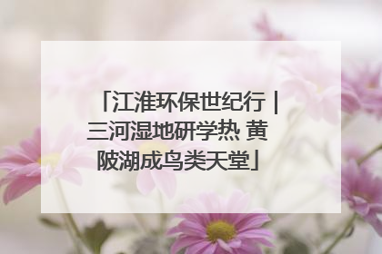 江淮环保世纪行｜三河湿地研学热 黄陂湖成鸟类天堂