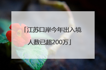 江苏口岸今年出入境人数已超200万