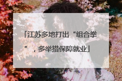江苏多地打出“组合拳”，多举措保障就业