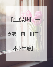 江苏苏州：一支笔“画”出三本幸福账