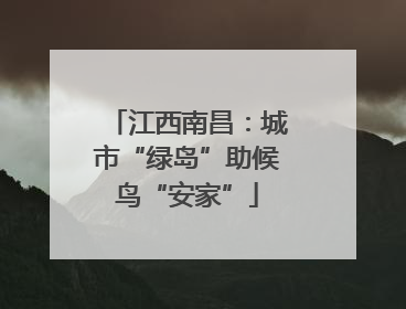 江西南昌：城市“绿岛”助候鸟“安家”