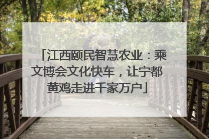 江西颐民智慧农业：乘文博会文化快车，让宁都黄鸡走进千家万户