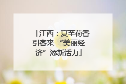 江西：夏至荷香引客来 “美丽经济”添新活力