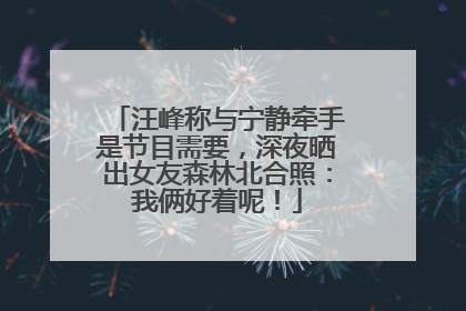 汪峰称与宁静牵手是节目需要，深夜晒出女友森林北合照：我俩好着呢！