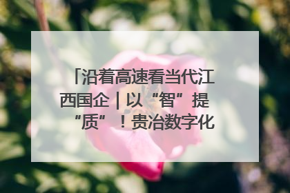 沿着高速看当代江西国企｜以“智”提“质”！贵冶数字化转型迈出新步伐