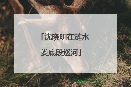 沈晓明在涟水娄底段巡河