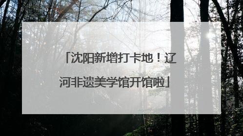 沈阳新增打卡地！辽河非遗美学馆开馆啦