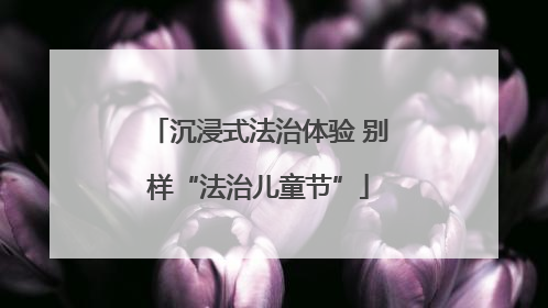 沉浸式法治体验 别样“法治儿童节”