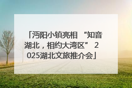 沔阳小镇亮相 “知音湖北，相约大湾区” 2025湖北文旅推介会