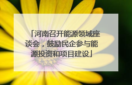 河南召开能源领域座谈会，鼓励民企参与能源投资和项目建设