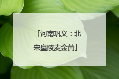 河南巩义：北宋皇陵麦金黄