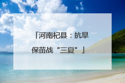 河南杞县：抗旱保苗战“三夏”