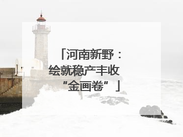 河南新野：绘就稳产丰收“金画卷”