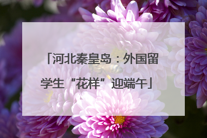 河北秦皇岛：外国留学生“花样”迎端午