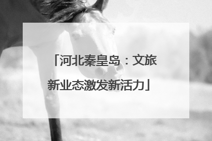 河北秦皇岛：文旅新业态激发新活力