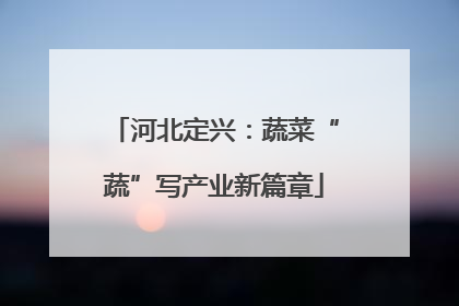 河北定兴：蔬菜“蔬”写产业新篇章
