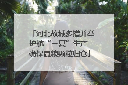 河北故城多措并举护航“三夏”生产 确保夏粮颗粒归仓