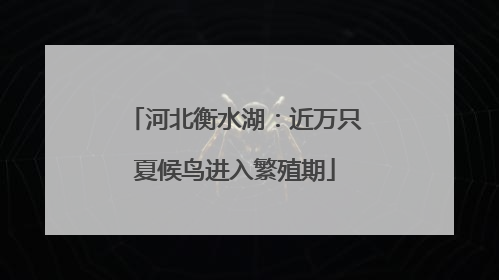 河北衡水湖：近万只夏候鸟进入繁殖期